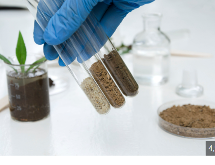 SOIL TETSING 2025 SOIL TETSING 2025